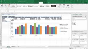 How To Filter Pivot Chart Data In Excel Dummies