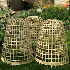Bamboo Bell Cloches Natural Protection