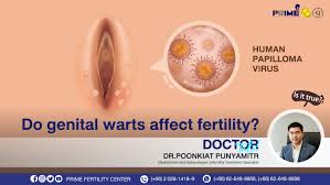 do warts affect fertility