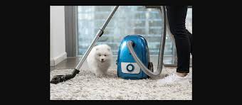 small carpet cleaning service