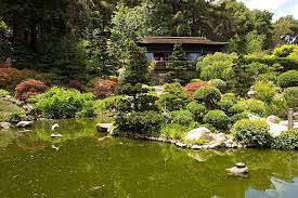 Japanese Garden Asian Bay Area Natural