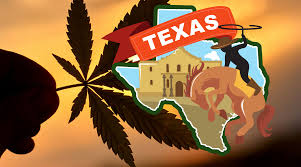 Learn more about its use and who can get a prescription. Texas Medical Marijuana Marijuana Doctors