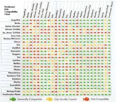 Compatability Chart For Aquarium Fishes And Marine