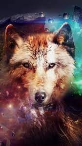 45+] Wolf Wallpaper for iPhone on ...