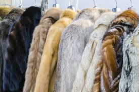 Fur Coat Vintage Fur Coat Vintage Fur