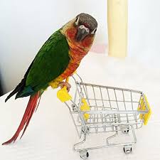 Funny Parrot Bird Pet Supermarket Shopping Cart Or Kids