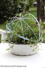 Make Topiary Forms From Garden Orbs