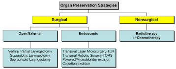 Organ Preservation Strategies For Ca Larynx A Chart Of The