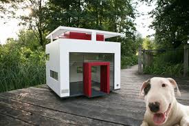 build your own dog house