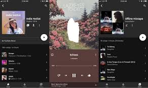 In addition, a successful broadcast can give you a healthy however, if you are looking for the app for streaming, you may become entangled with the number of offers. The 5 Best Free Spotify Alternatives 2019 Pros And Cons