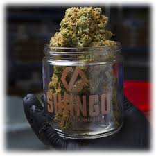 Check spelling or type a new query. California Medical Marijuana Card California Cannabis Cards Shango