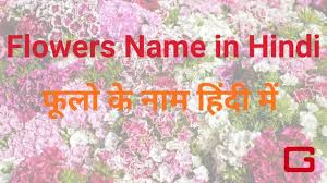 the flower name flower name in hindi