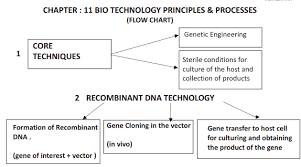 Cbse Class 12 Biology Bio Technology Principles And