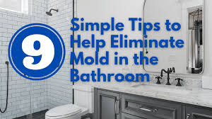 Eliminate Mold In The Bathroom
