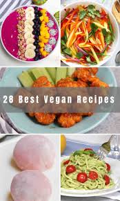 28 best vegan recipes for beginners