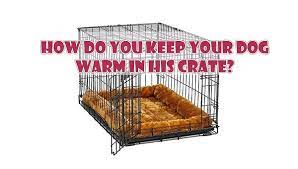 how do you keep your dog warm in his crate