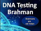 Image result for BRAHMIN DNA