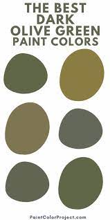29 Best Olive Green Paint Colors For