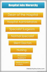 Hospital Jobs Hierarchy Hospital Jobs Physician Assistant