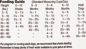 Diamond Puppy Food Feeding Chart Best Picture Of Chart
