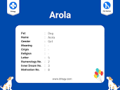 Arola Dog Name Meaning & Info - Drlogy
