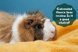 guineadad fleece liner review is it a