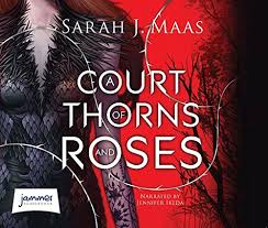 A court of mist and fury. A Court Of Thorns And Roses Maas Sarah J Amazon De Bucher