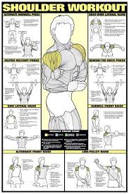 Shoulder Workout Fitness Chart Fitness Weight Training