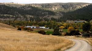 We did not find results for: Mel Gibson S Former Montana Ranch For Sale Again For 29 8m State Regional Billingsgazette Com