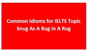 common idioms for ielts topic snug as a