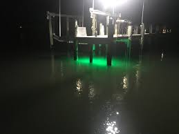 snooking around the dock lights
