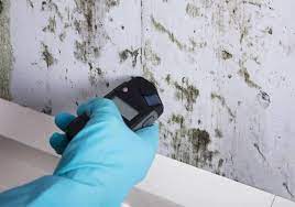 what is mold testing know if your dfw