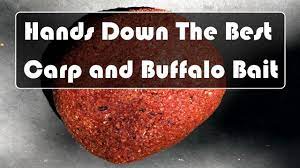 best carp and buffalo bait recipe you