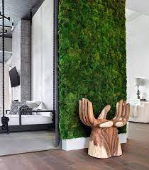 Living Moss Wall For Your Home