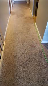 carpet cleaning anew in fort wayne