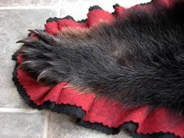 newer real shiny black bear skin rug