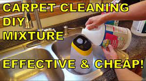 diy carpet cleaning solution mixture