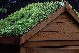 Grass Roof Sheds Eco Friendly Sheds