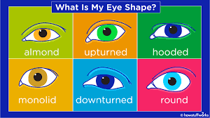 there are 6 diffe eye shapes which