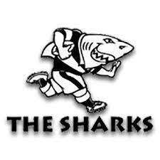 sharks rugby news scores highlights