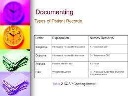 Module Documenting Recording Or Charting Ppt Video Online