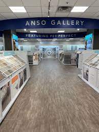 nfm elevates consumer experience w anso