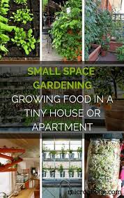 small space gardening growing food in