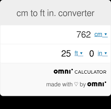 cm to ft in converter