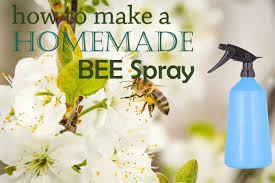 7 useful homemade wasp and bee spray