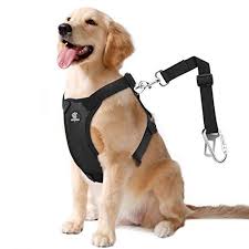 Car Harness Dog Car Harness Dog Seat Belt