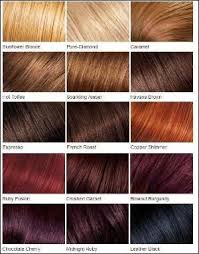 Loreal Color Chart Different Blonde Brown Red Dark Hair