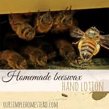 from hive to honey to hands homemade beeswax lotion