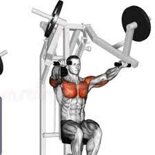 hammer chest press seated by david
