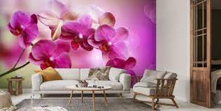 orchid wallpaper wallsauce us